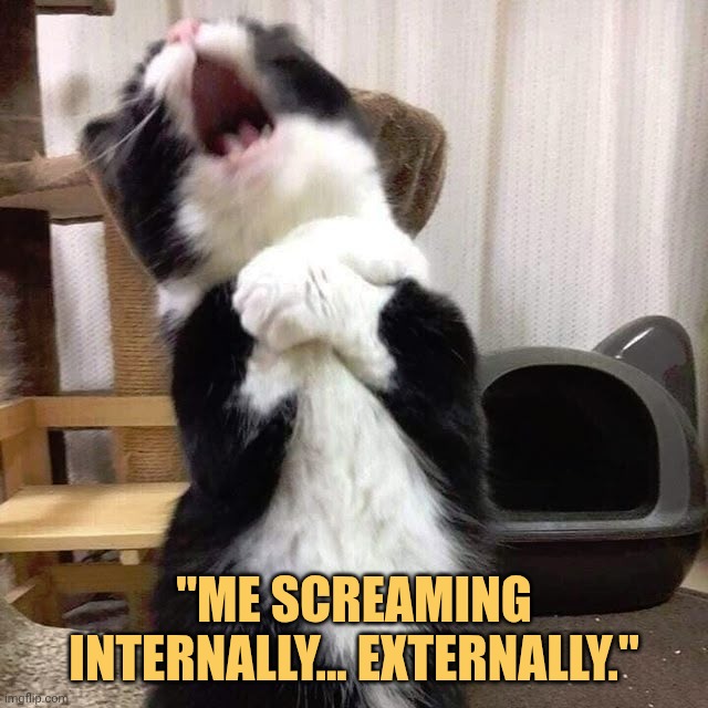 the scream is coming from my inner body meme