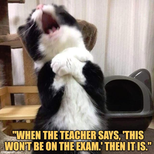 Why teacher whyyy
