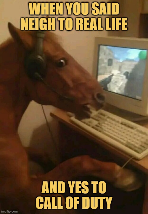 When you said neigh to real life meme