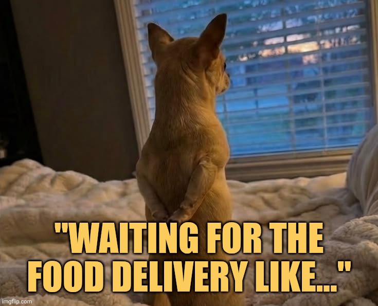 Waiting for food delivery be like