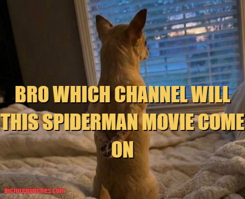 spiderman brand new day (2026) meme