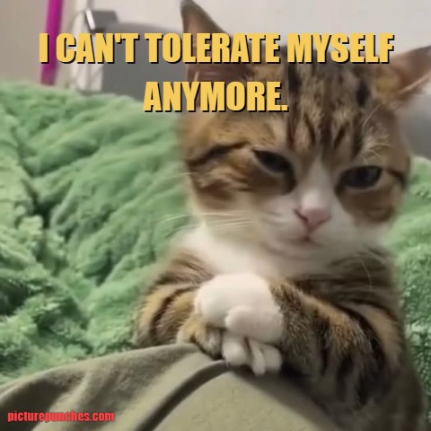 Can't tolerate myself