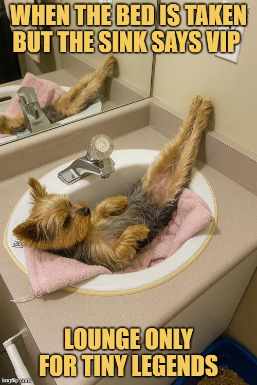 When the bed is taken