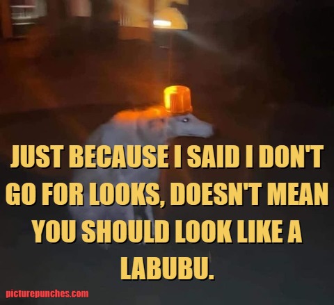 I said I don't go for looks