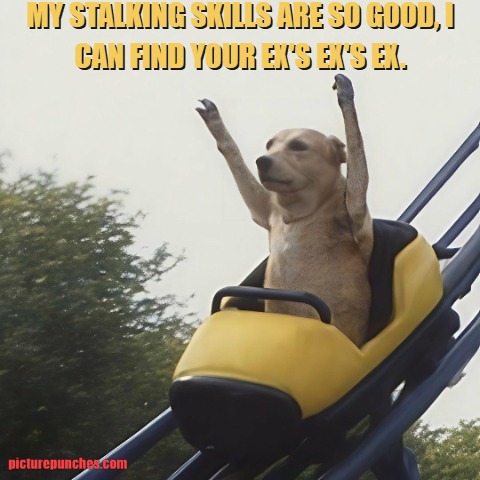 stalking skills meme