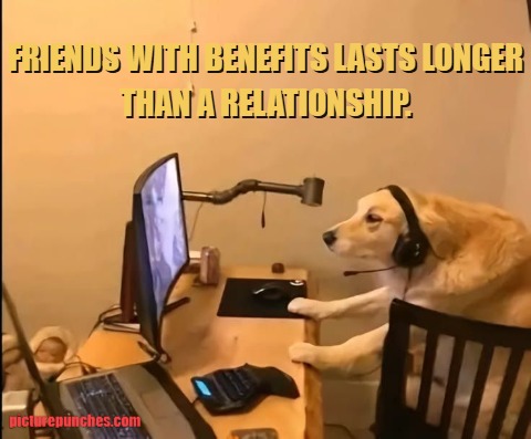 Friends with benefits