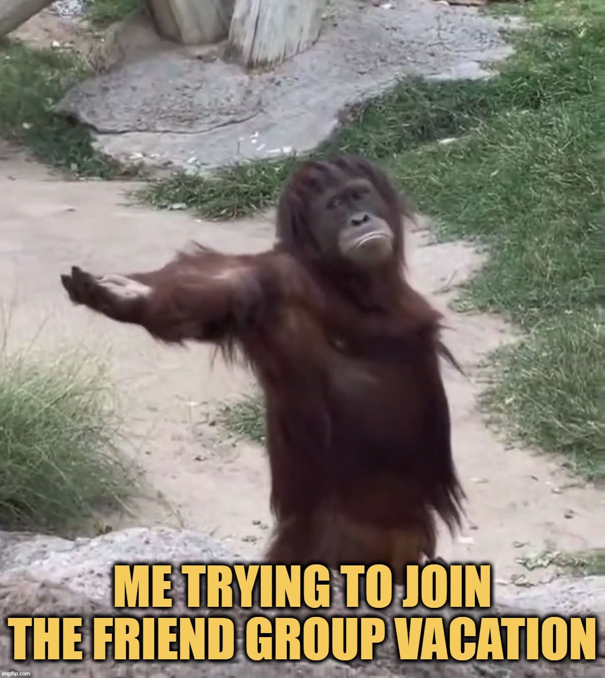 Does anyone join me?