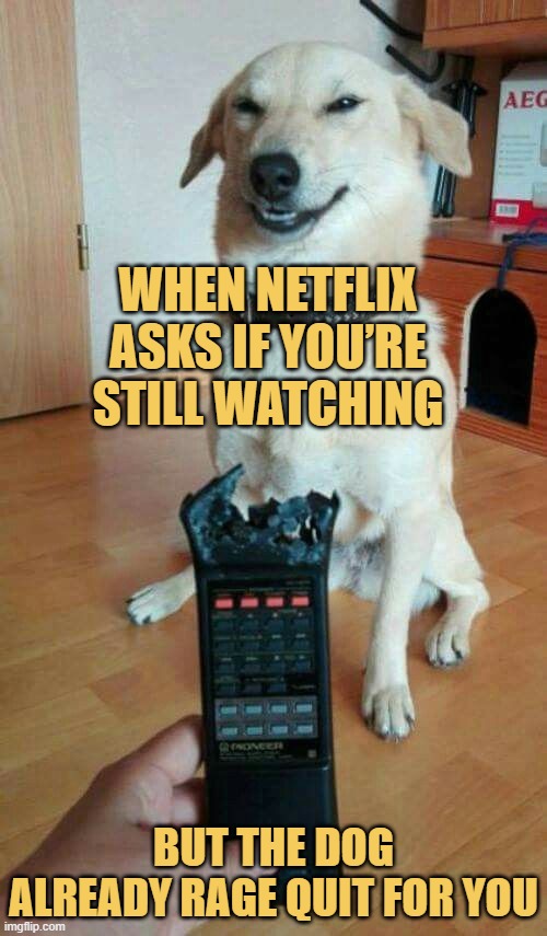 When Netflix asks if you’re still watching. meme