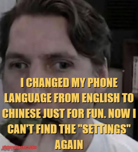 changed my phone language meme
