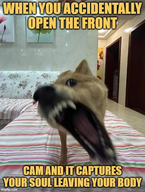 When you accidentally open the front.