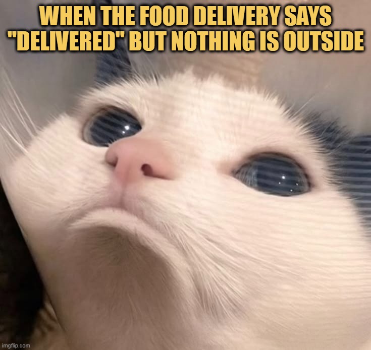 Where is my food?