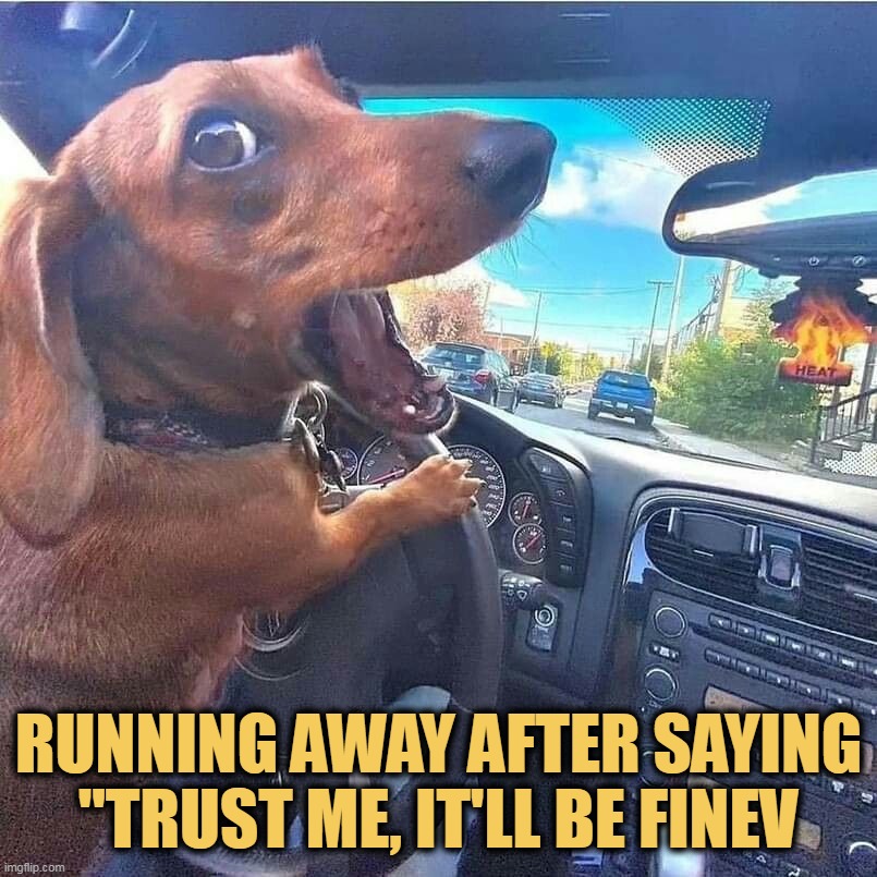 I dont trust you....