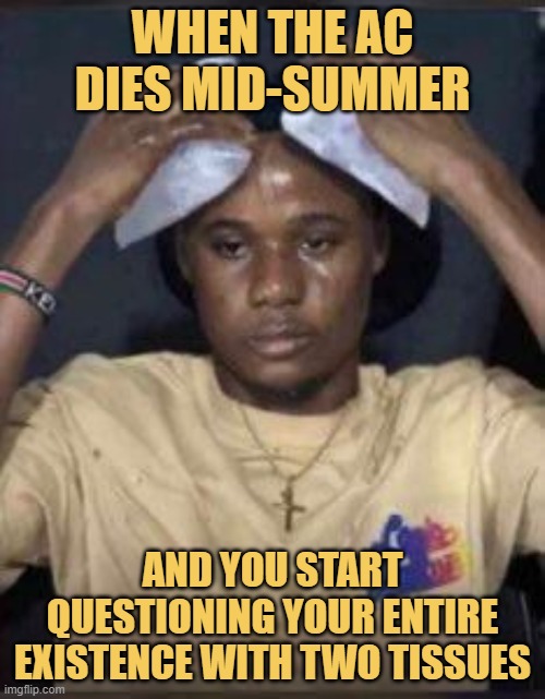 When the AC dies mid-summer. meme