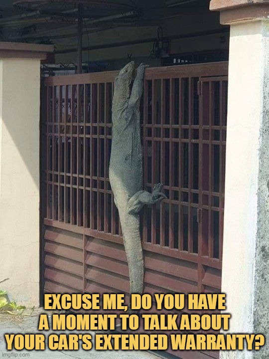 Can you tell me?