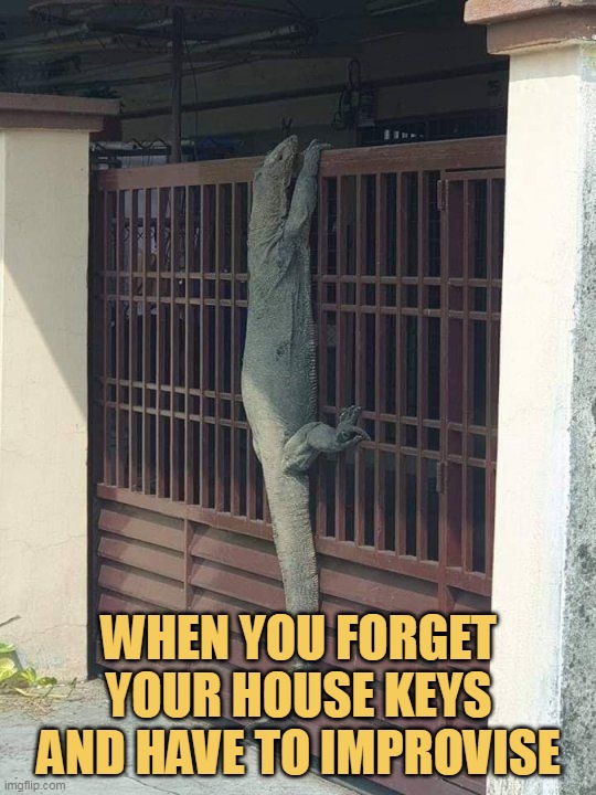 What can I do now?