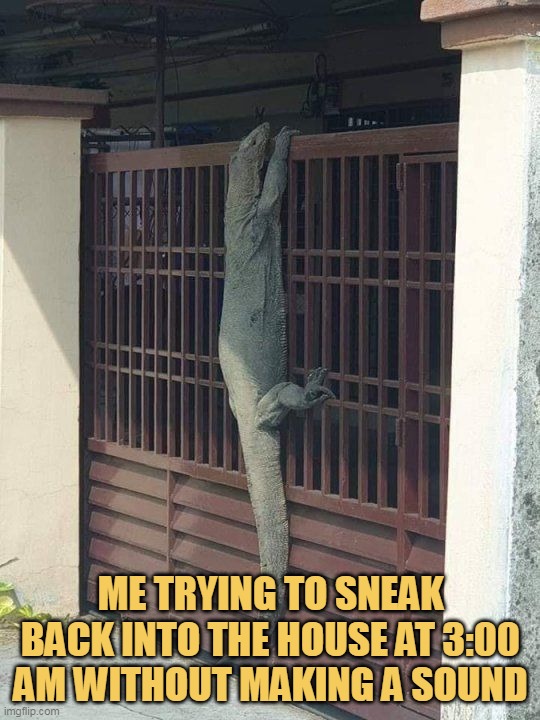 without making a sound meme
