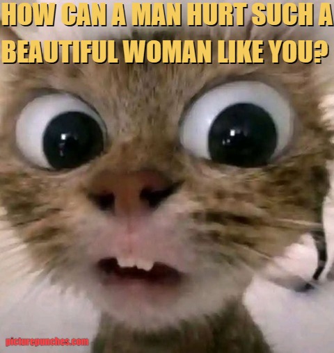 this statement is from another man who wants to finish you completely. meme