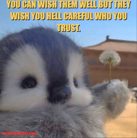 You can wish them well