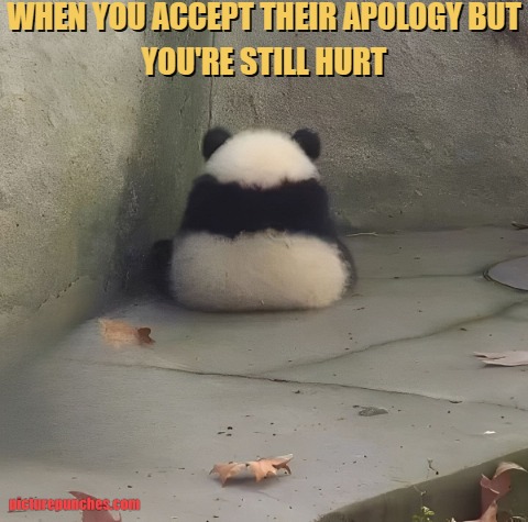 can't trust them meme