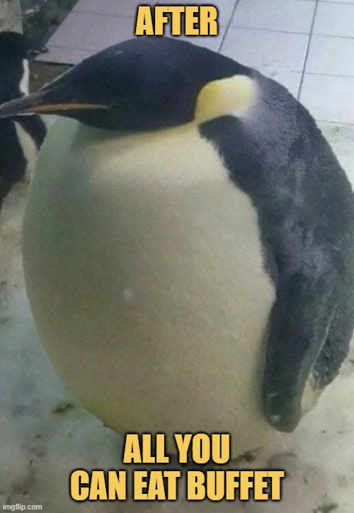 I have eaten all the calories :) meme