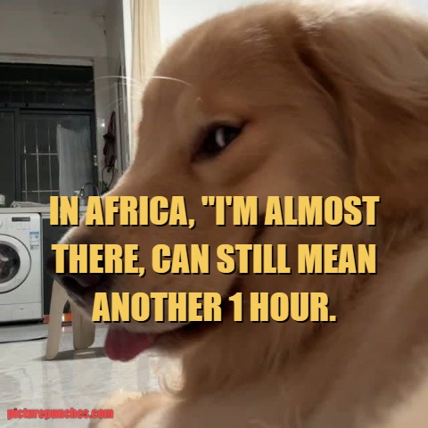 in Africa