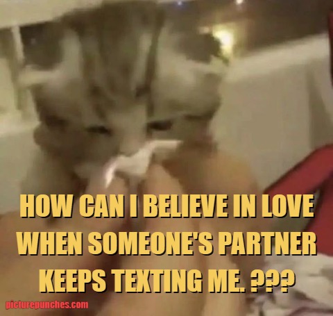 no trust in love meme
