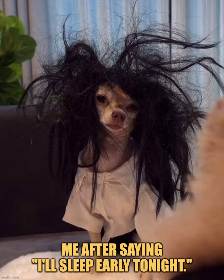im fine meme