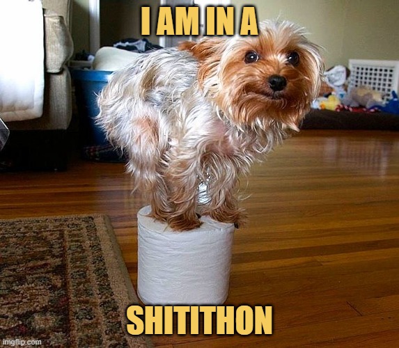 This is why I don't walk you anymore ...