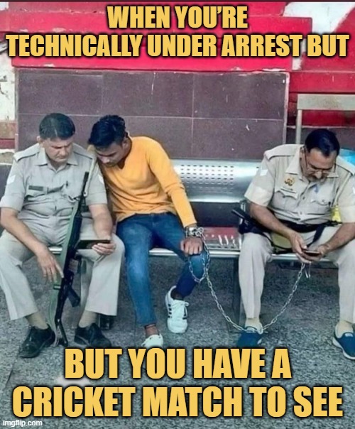When you’re technically under arrest but. meme