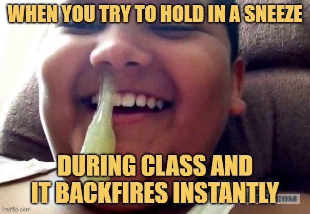 When you try to hold in a sneeze. meme