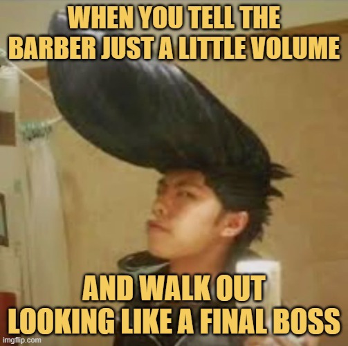 When you tell the barber just a little volume. meme