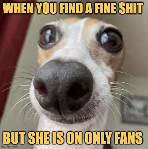 Dating life is no more fun is in 2026 :) 