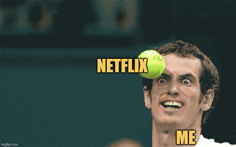 when netflix increased it fees