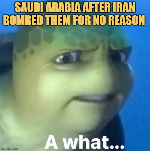 Iran got some mental health issue I guess  meme