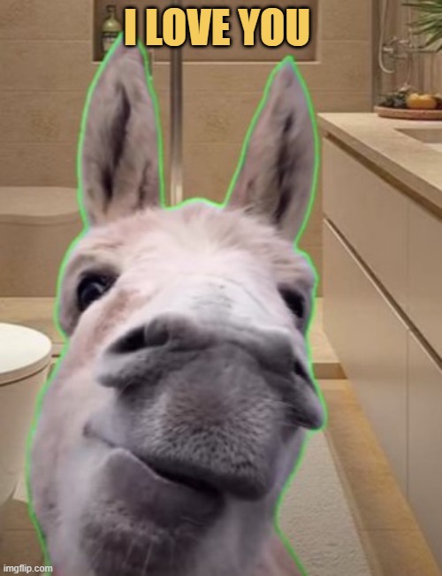 My friend in girls Dm's  meme