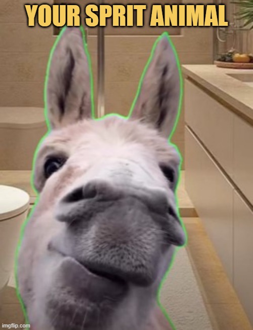 It's a donkeyyyyyyyyyyyyyy meme