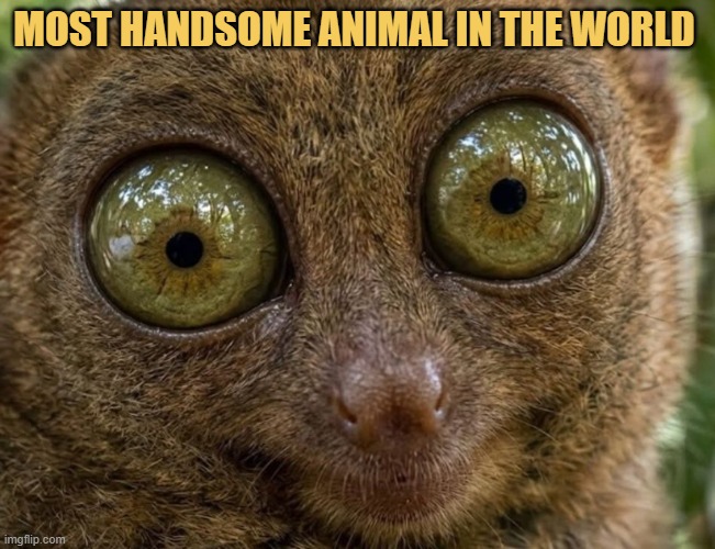 Do you know this?  meme