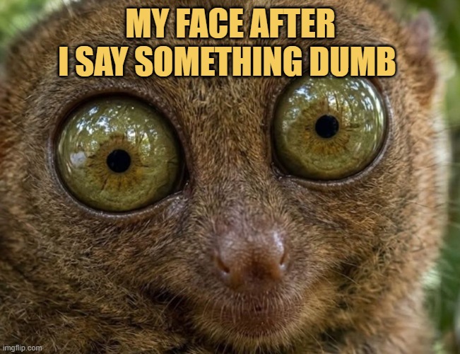 I look even dumber after that     :)  meme