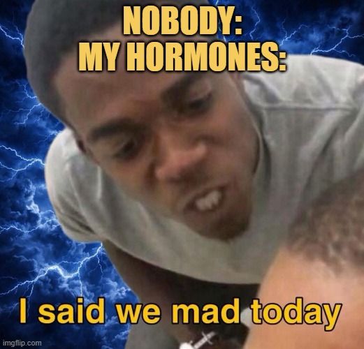 They are always gay  meme