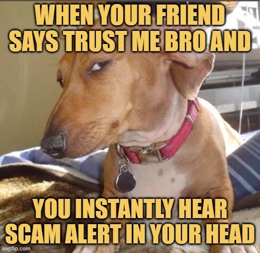 When your friend says trust me bro and. meme