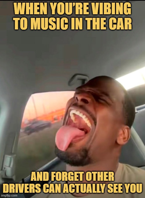 When you’re vibing to music in the car meme