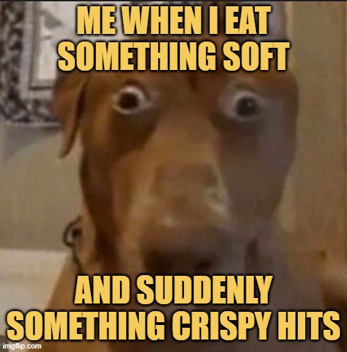 and suddenly something crispy hits meme