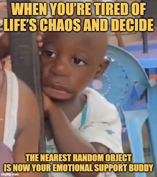 When you’re tired of life’s chaos and decide meme