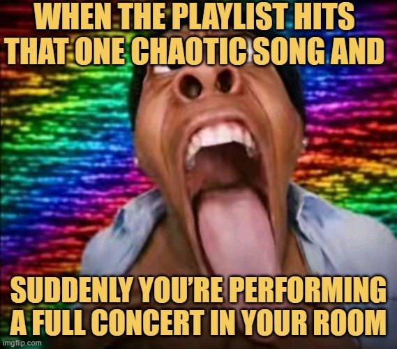 When the playlist hits that one chaotic song and meme