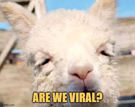 Farris everyday be like ...