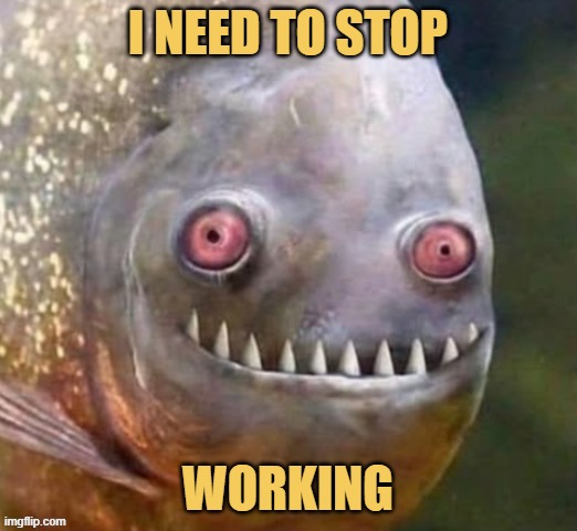 After 8 hours of work ... meme