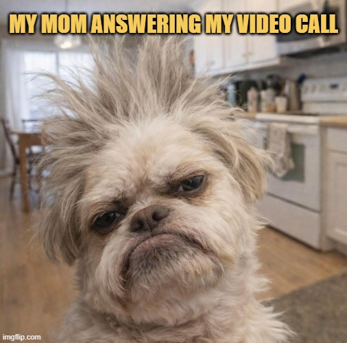 This is how she looks when I video call her LOL  meme