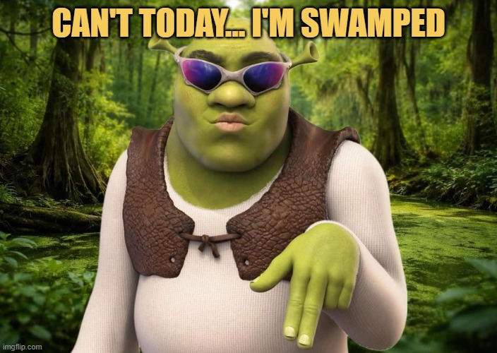 When my friends invites me for a party  meme