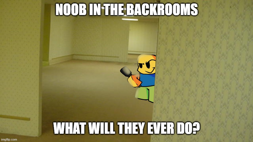 PicturePunches: Meme: Roblox Noob In The Backrooms