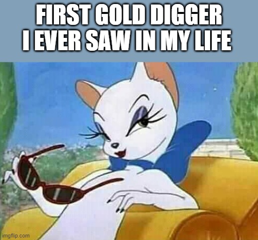 Gold digger - Imgflip